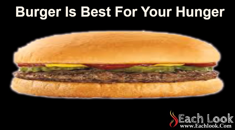 Burger Is Best For Your Hunger