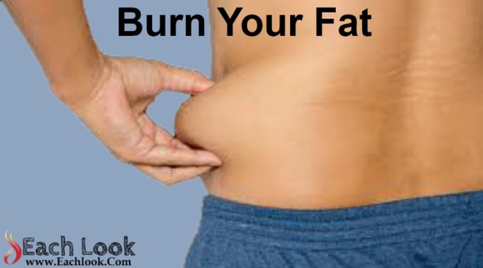 Burn Your Fat