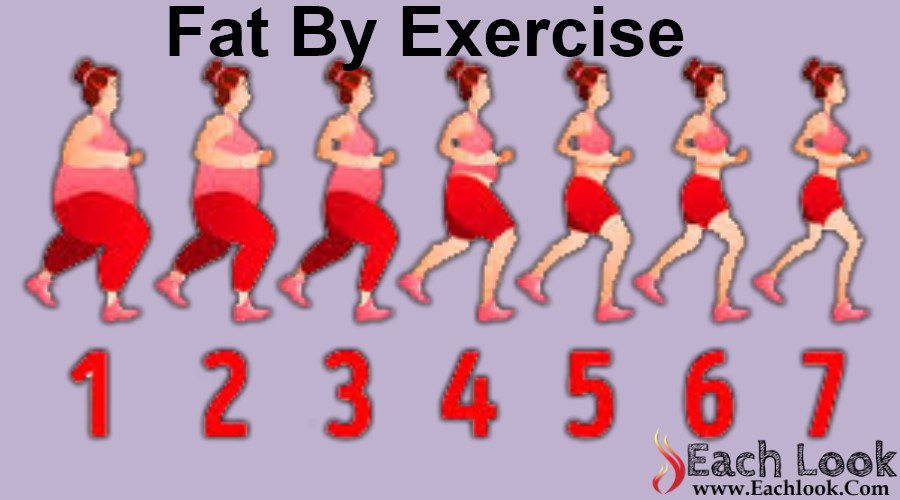 Fat By Exercise